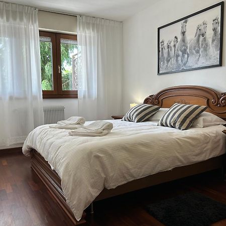 Lavanda Holiday Apartment San Giórgio di Nogaro Exteriér fotografie